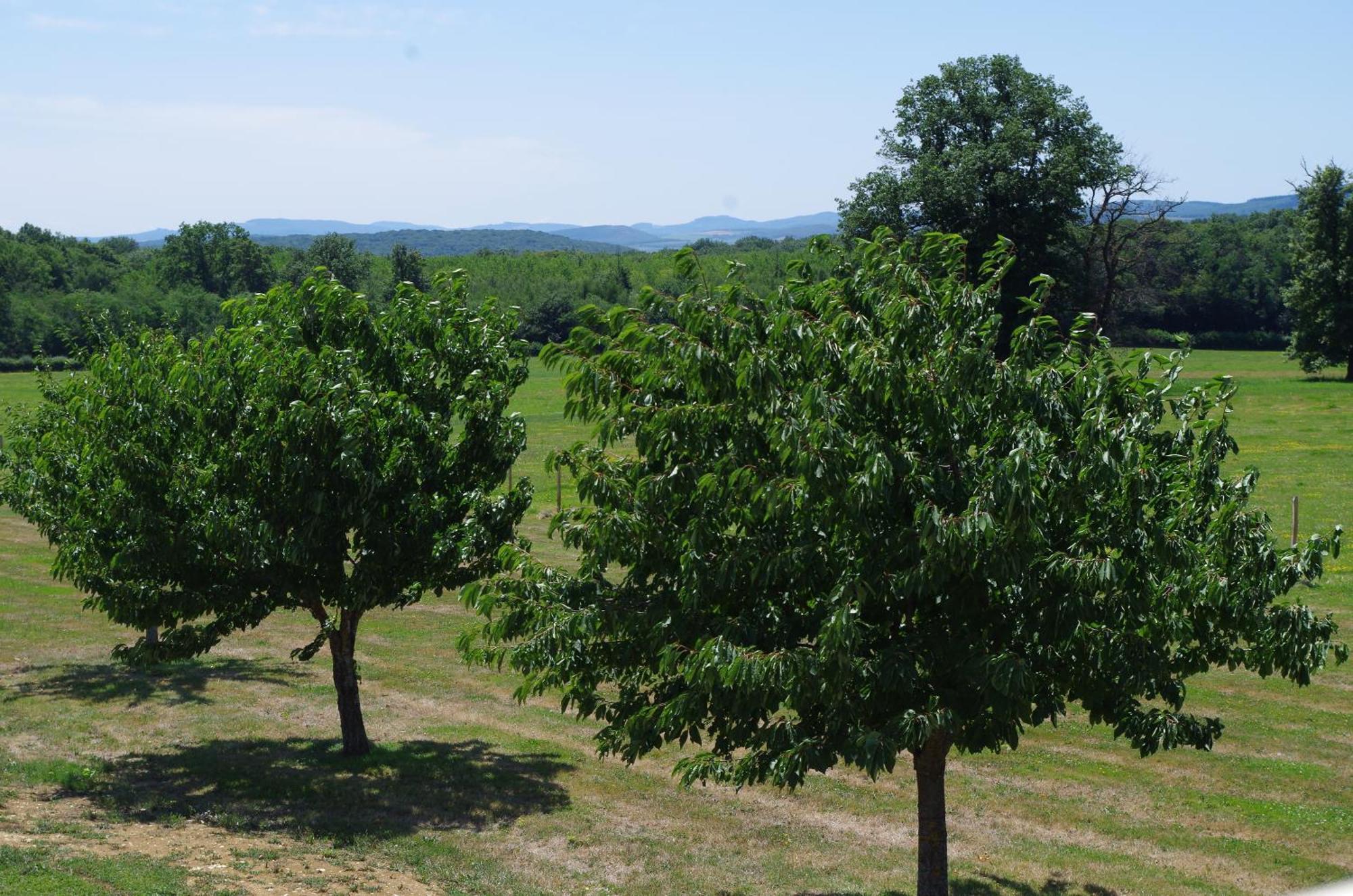 Domaine Joseph Lafarge Wine Resort Winemaker House La Maison Du Negociant Lugny Buitenkant foto