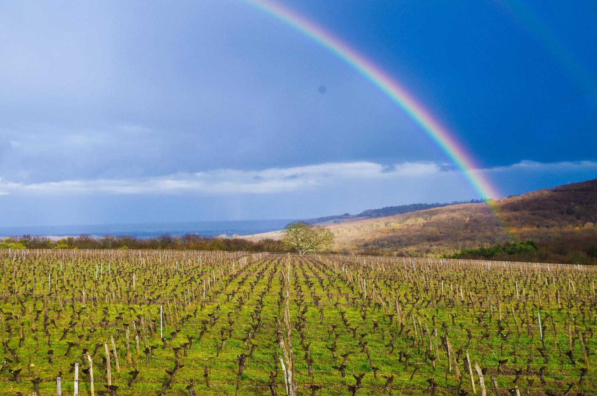 Domaine Joseph Lafarge Wine Resort Winemaker House La Maison Du Negociant Lugny Buitenkant foto