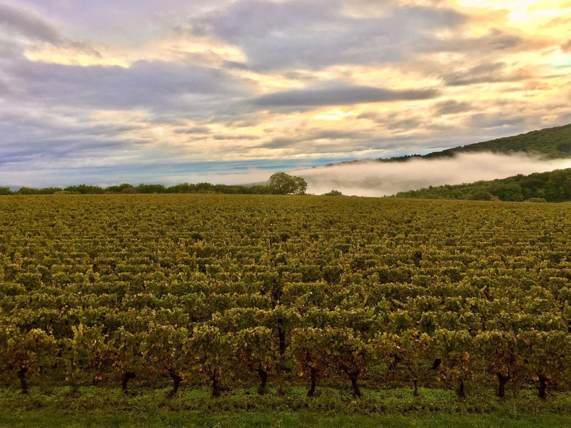 Domaine Joseph Lafarge Wine Resort Winemaker House La Maison Du Negociant Lugny Buitenkant foto