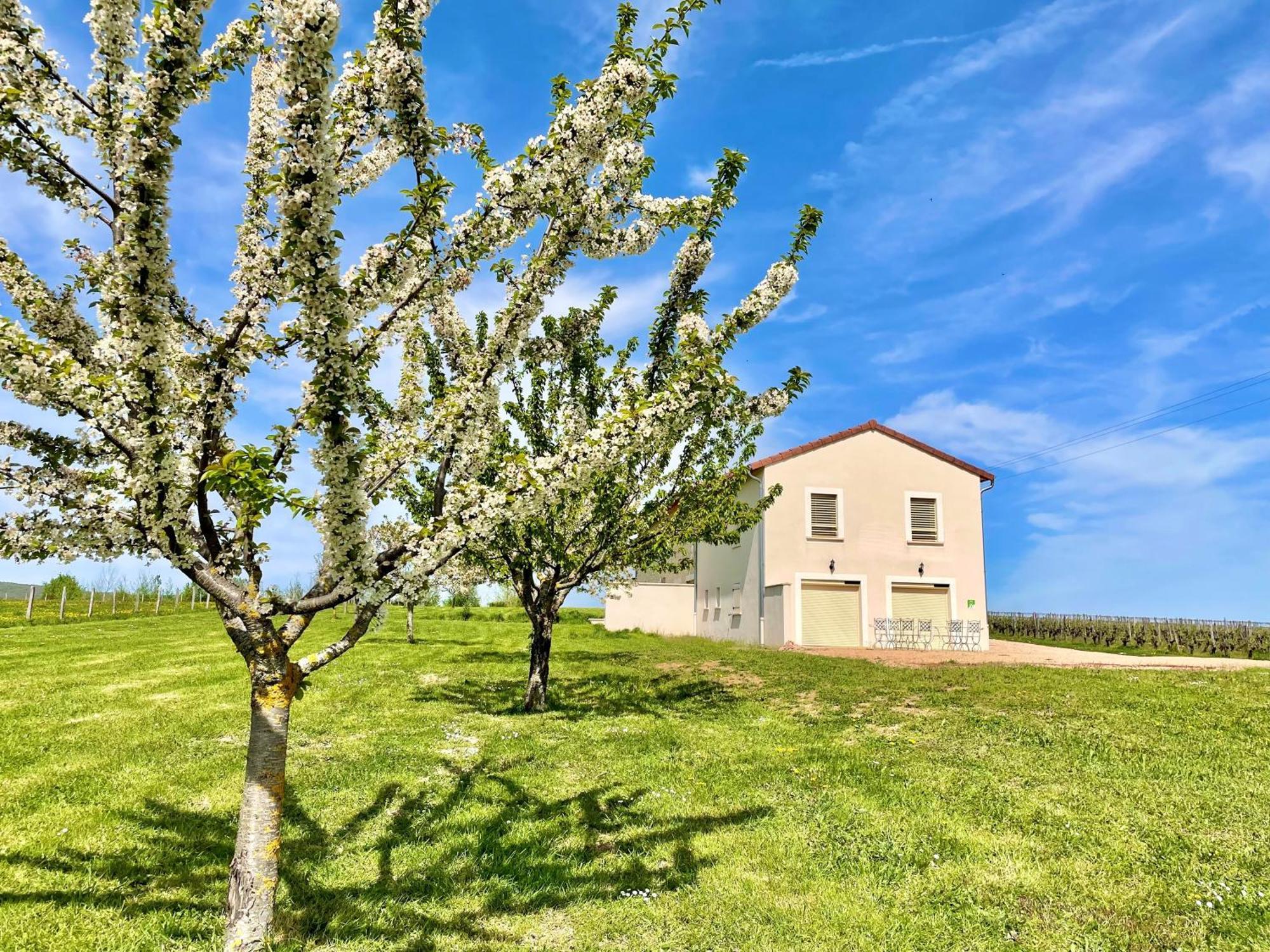 Domaine Joseph Lafarge Wine Resort Winemaker House La Maison Du Negociant Lugny Buitenkant foto